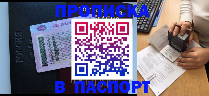 пропишу в квартире в Бабаево